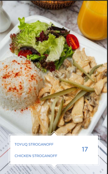 TOYUQ STROGANOFF